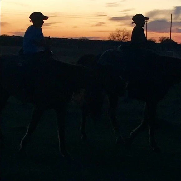 Meet your Posher, Ginger - Picture 1 of 1